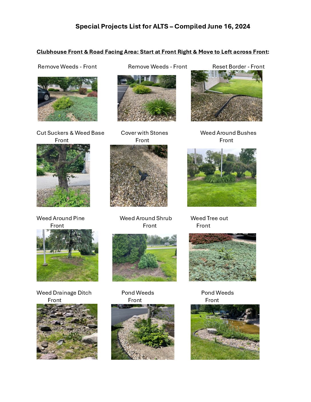 Alts Special Projects June 2024