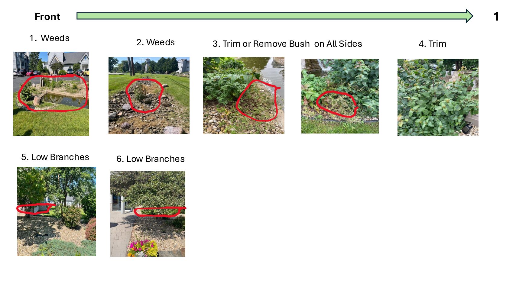 Special Projects June 2025